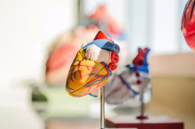 Suplementacja w zapobieganiu chorobom serca i układu krążenia